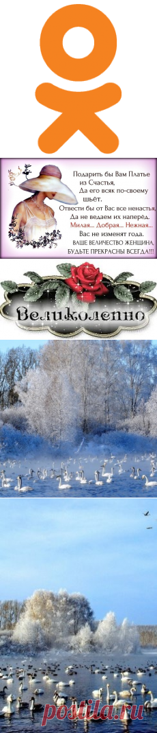 OK.RU
