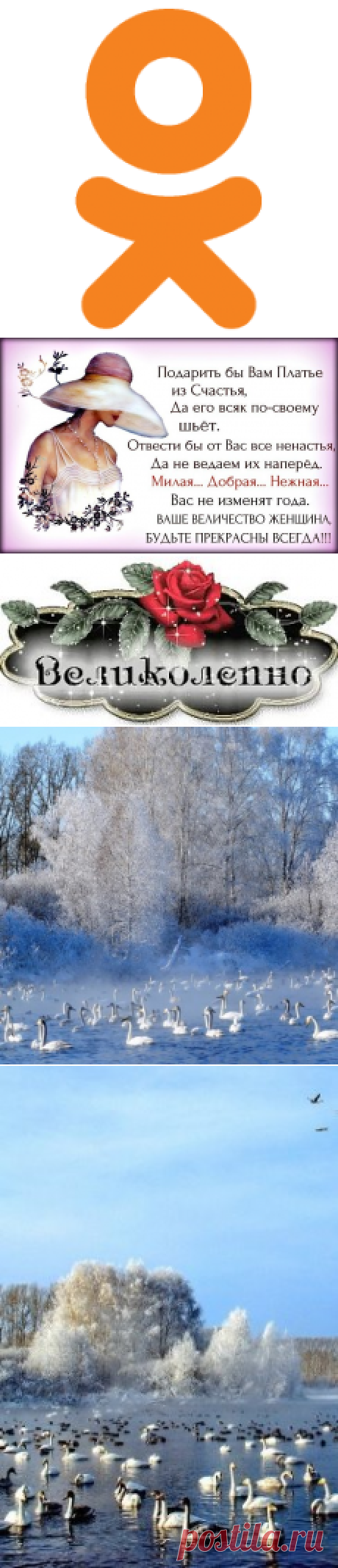 OK.RU