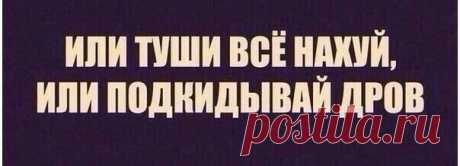 Катерина Швец