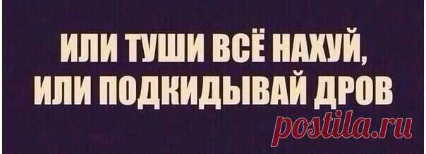 Катерина Швец
