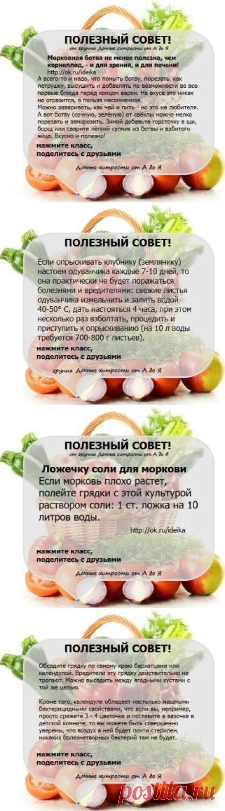 Одноклассники