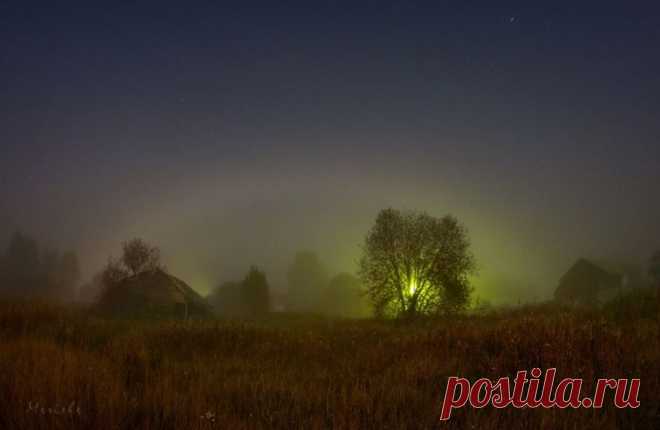(10) Facebook