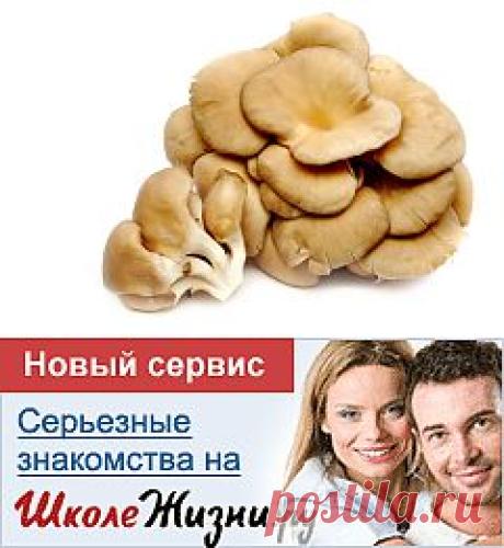 Как готовить вешенки? | Еда и кулинария