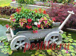 Старая тачка для цветов. Идеи для сада

Старую износившуюся садовую тачку не нужно выбрасывать, у нас в хозяйстве все пригодится, особенно если есть при доме клумба или же имеется дача. Старую тачку очень красиво и удачно можно вписать в ландшафт, засадив роскошными летними цветами.
•••







•••в продолжении ещё фото