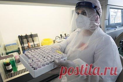 Стали известны подробности о заразившихся новым подвариантом коронавируса. В Москве у трех пациентов выявили подвариант коронавируса XBB.1.16, или «Арктур». Об этом в среду, 19 апреля, журналистам сообщил заведующий лабораторией механизмов популяционной изменчивости патогенных микроорганизмов НИЦ эпидемиологии и микробиологии имени Гамалеи Минздрава России Владимир Гущин.