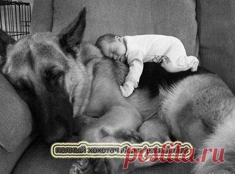 (26) Одноклассники