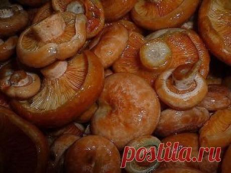 (1) Одноклассники