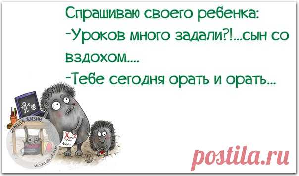 Если вы считаете, что хуже уже быть не может, значит, у вас проблемы с воображением...