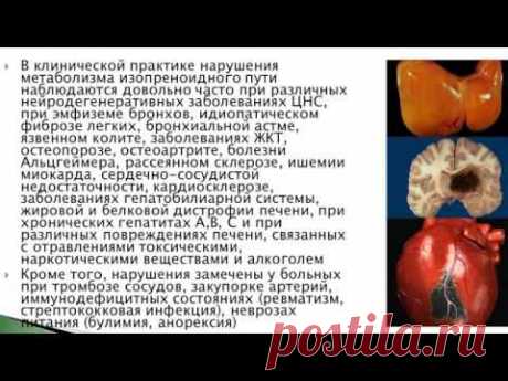 Олеопрены. Гепа, Кардио, Нейро. Сюзева Н.А.