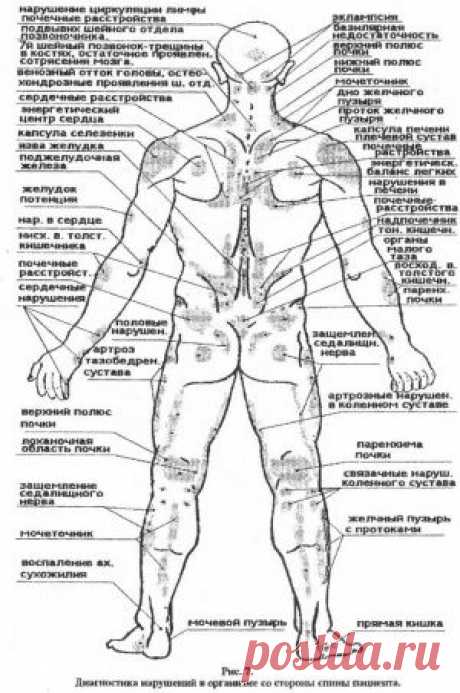 Висцеральная хиропрактика от профессора, доктора Огулова А. Т. Исцеление руками