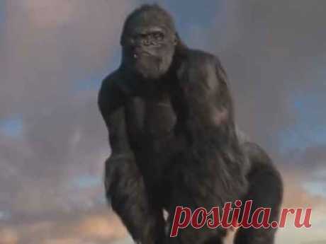 Почему вымерли Кинг-Конги / Научный хит