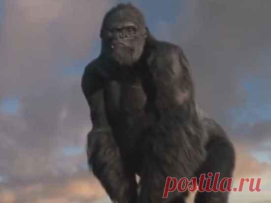Почему вымерли Кинг-Конги / Научный хит