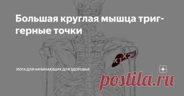 Большая круглая мышца триггерные точки Статья автора «Йога для начинающих для здоровья» в Дзене ✍:   Большая круглая мышца (Teres major) — это частая, но часто упускаемая из виду причина боли в плече и лопатке.