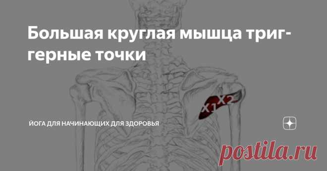 Большая круглая мышца триггерные точки Статья автора «Йога для начинающих для здоровья» в Дзене ✍:   Большая круглая мышца (Teres major) — это частая, но часто упускаемая из виду причина боли в плече и лопатке.