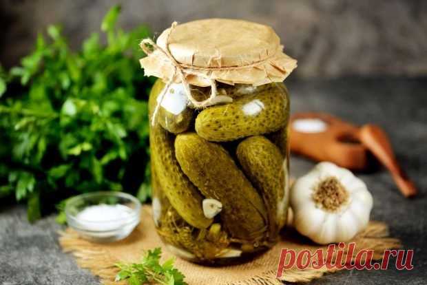 Маринованные огурцы с яблочным уксусом на зиму — Домашние заботы