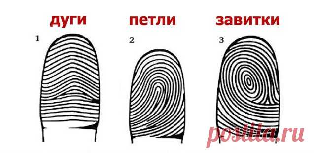 Ваша судьба на кончиках пальцев / Мистика