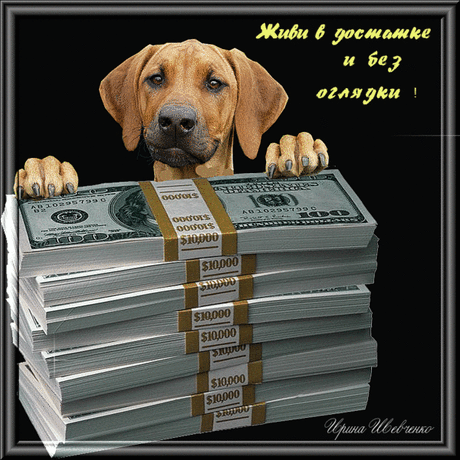 МОИМ ДРУЗЬЯМ - 333 фото. Фотографии Нина Горбачева.