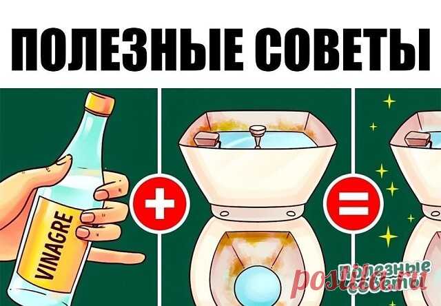 1. Если налить уксус в бачок и смыть, он капитально почистит унитаз от грязи, бактерий и даже плесени. Плюс, можете проложить его туалетной бумагой, смоченной в уксусе.
2. Черный чай из трех пакетиков на стакан воды — отличная эко-замена средству для мытья стекол.
3. Смешайте пополам уксус и жидкость для мытья посуды, и вы отмоете любое пятно в ванной комнате.
4. Пятна от воды и известковый налет легко удаляются с помощью кусочка обычного лимона.
5. Более трудные загрязнен...