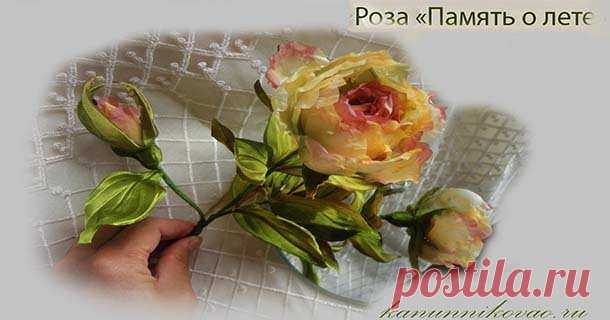 Роза 