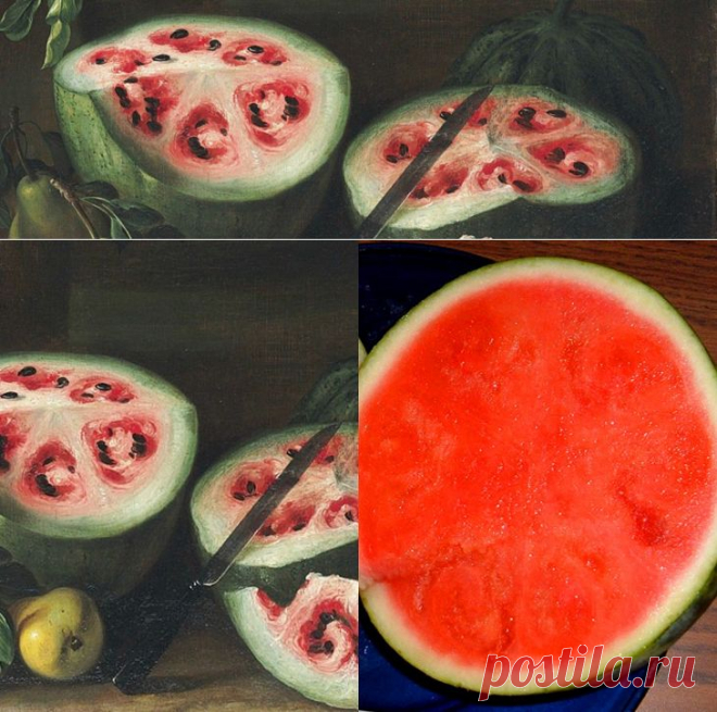 Продукты, мутациям которых мы только рады