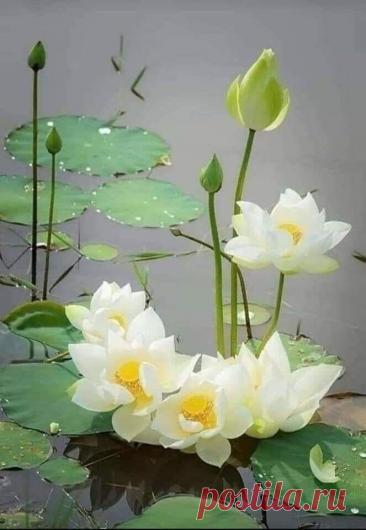 Пин на доске art