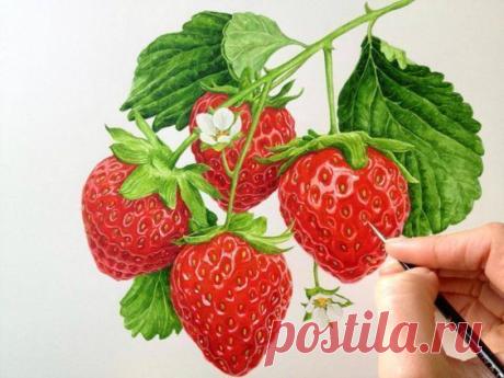 #раскраски@raz.deti 

 РАСКРАСКИ "ФРУКТЫ И ЯГОДЫ"