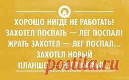 Интеллектуальный юмор