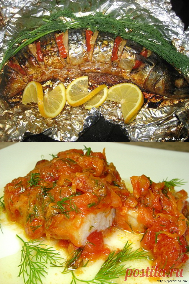 Подборка вкусных блюд из скумбрии