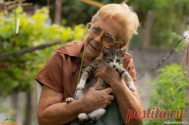 Кошка как антистресс: природный регулятор психики Одно из самых очевидных и при этом наименее осознанных воздействий кошки — снижение уровня стресса. Мягкая шерсть, ритмичные движения при дыхании, тёплая пушистая масса на коленях — всё это действует как естественный транквилизатор. При поглаживании кошки у человека снижается...