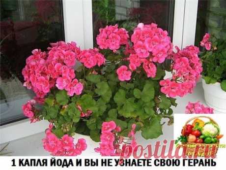 (94) Одноклассники
