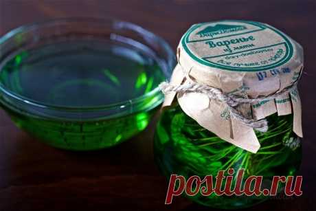 Варенье из мяты: детальный рецепт приготовления Варенье из мяты – нестандартный, но очень вкусный продукт на вашей кухне. Если вы хотите внести интересное разнообразие в перечень ваших закруток на зиму, тогда данный рецепт как раз для вас. Это варе…