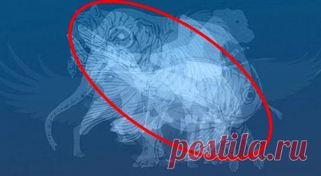 Тест: То, какое животное вы увидите первым, расскажет все о вашем характере — Entertainment