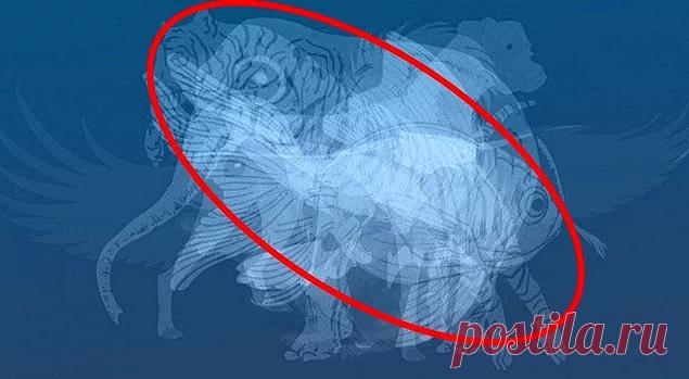 Тест: То, какое животное вы увидите первым, расскажет все о вашем характере — Entertainment