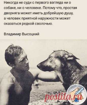 В. Высокций