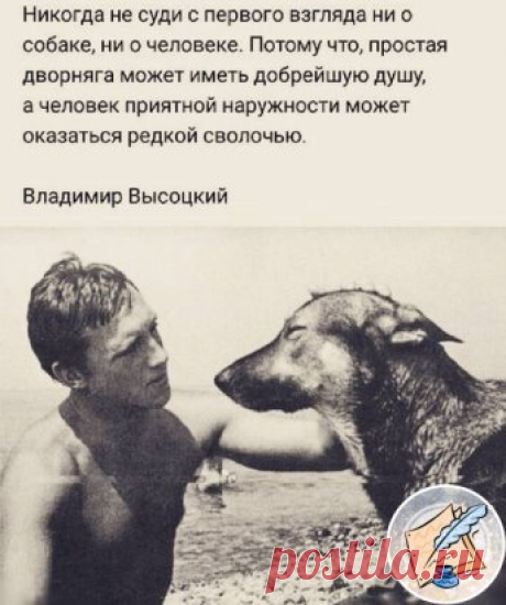В. Высокций