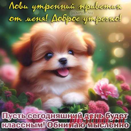 доброе утро картинки позитивные поднимающие настроение