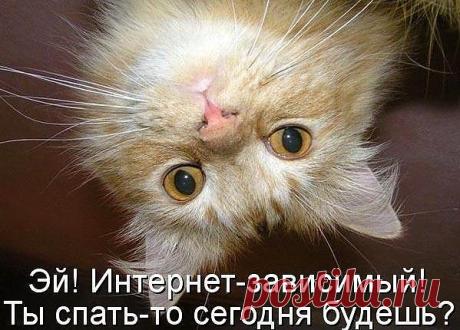 Сидишь каждый день по 6 часов !!Тогда я иду к тебе)