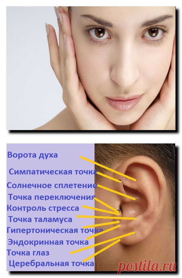 Активные точки для массажа ушных раковин | Виорин