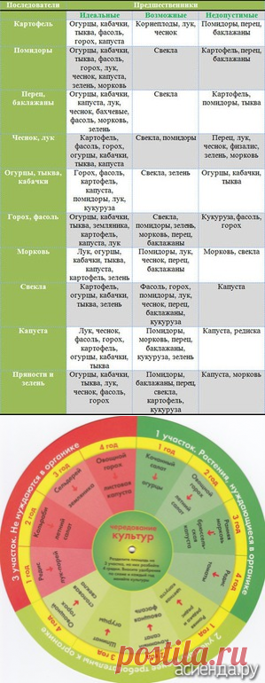 Севооборот. Чередование овощей на грядках - севооборот, выращивание овощей, чередование культур, организация грядок
