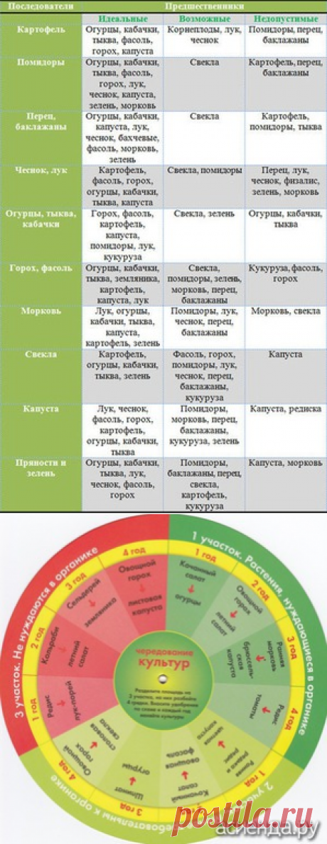Севооборот. Чередование овощей на грядках - севооборот, выращивание овощей, чередование культур, организация грядок