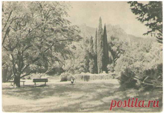 1955, Изогиз, Крым. В Алупкинском парке. Фото В.Орлова - «VIOLITY» Аукцион Антиквариата