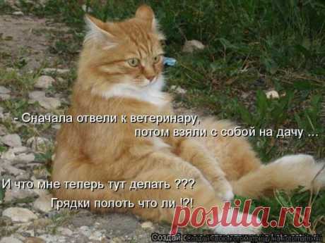 Диалоги
