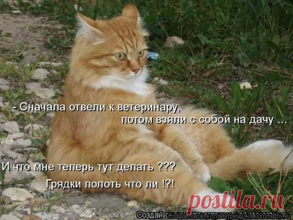 Диалоги