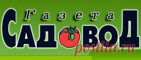 Приёмы для ускорения прорастания семян » &quot;Газета садовод&quot; - сетевое издание