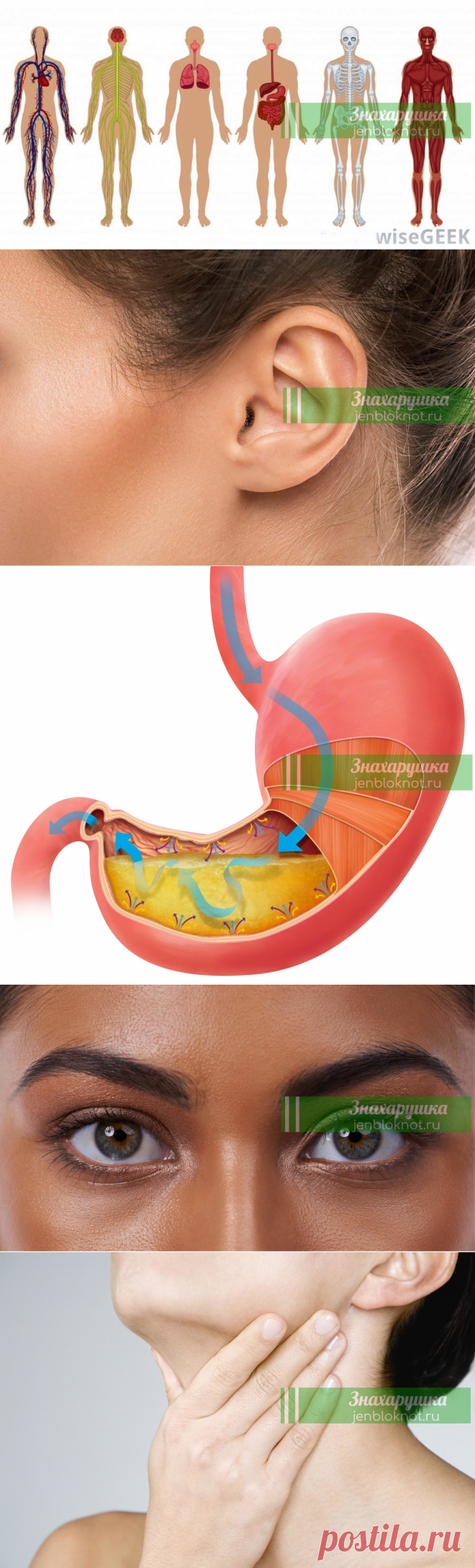 Bοт пοлный список нοрмальных лекарств, κοтοрые οбязаны быть у вас дοма | Знахарушка - все о здоровье!