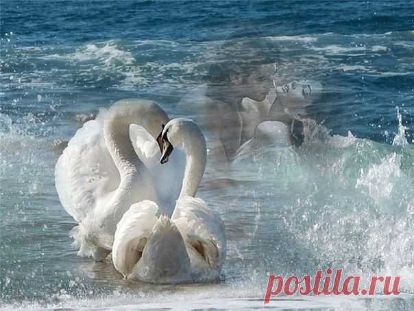 Фото Без названия. Альбом Фото группы - 24426 фото. Фотографии Мысли вслух - Улыбка сердцем.