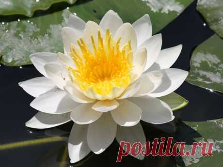 Редактировать описание