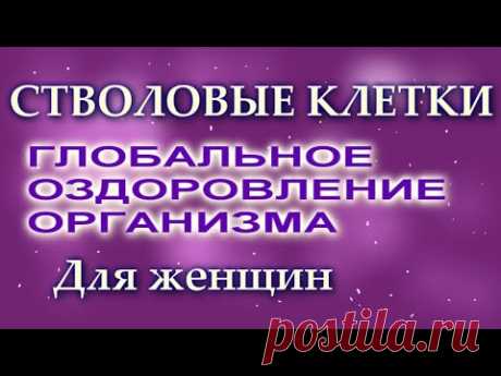 СТВОЛОВЫЕ КЛЕТКИ ГЛОБАЛЬНОЕ ОЗДОРОВЛЕНИЕ ОРГАНИЗМА Для женщин. Сытин Г.Н. (без муз) - YouTube