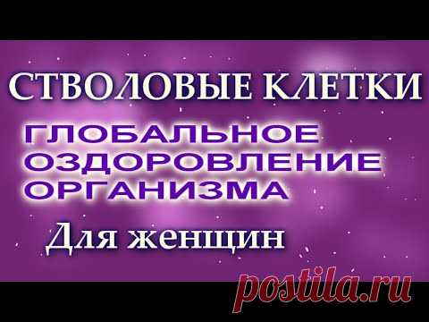 СТВОЛОВЫЕ КЛЕТКИ ГЛОБАЛЬНОЕ ОЗДОРОВЛЕНИЕ ОРГАНИЗМА Для женщин. Сытин Г.Н. (без муз) - YouTube