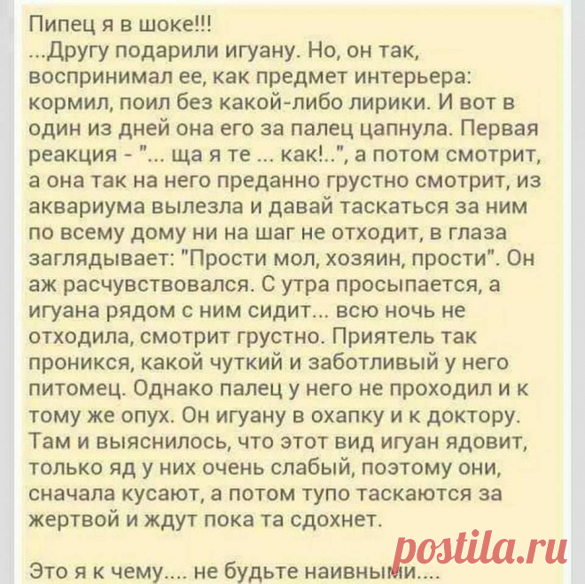 (1) Геннадий Самохвалов